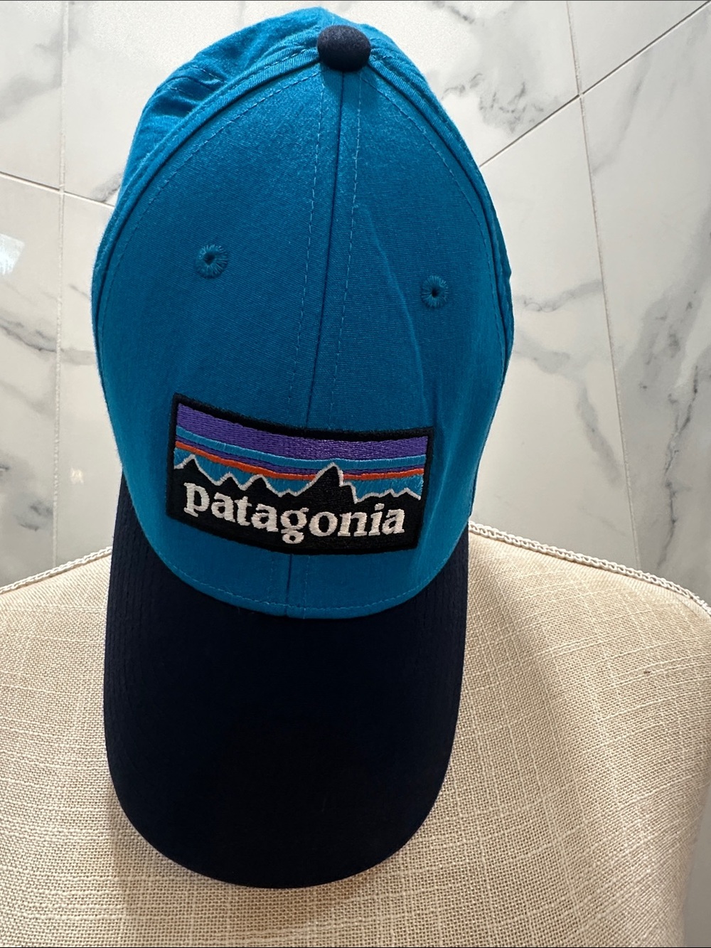 Patagonia Teal and Navy Logo Cap